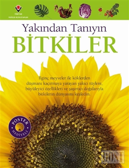 Bitkiler - Yakından Tanıyın